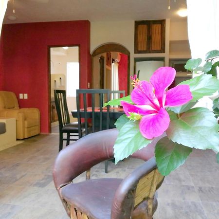 Ceiba Studios Zihuatanejo Kültér fotó