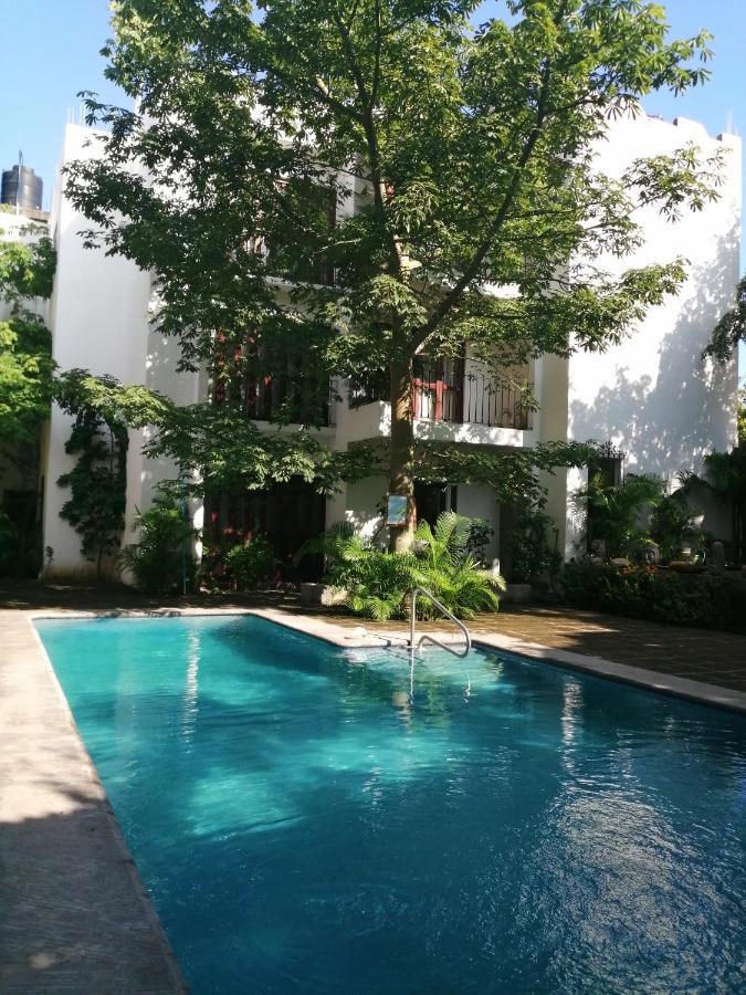 Ceiba Studios Zihuatanejo Kültér fotó