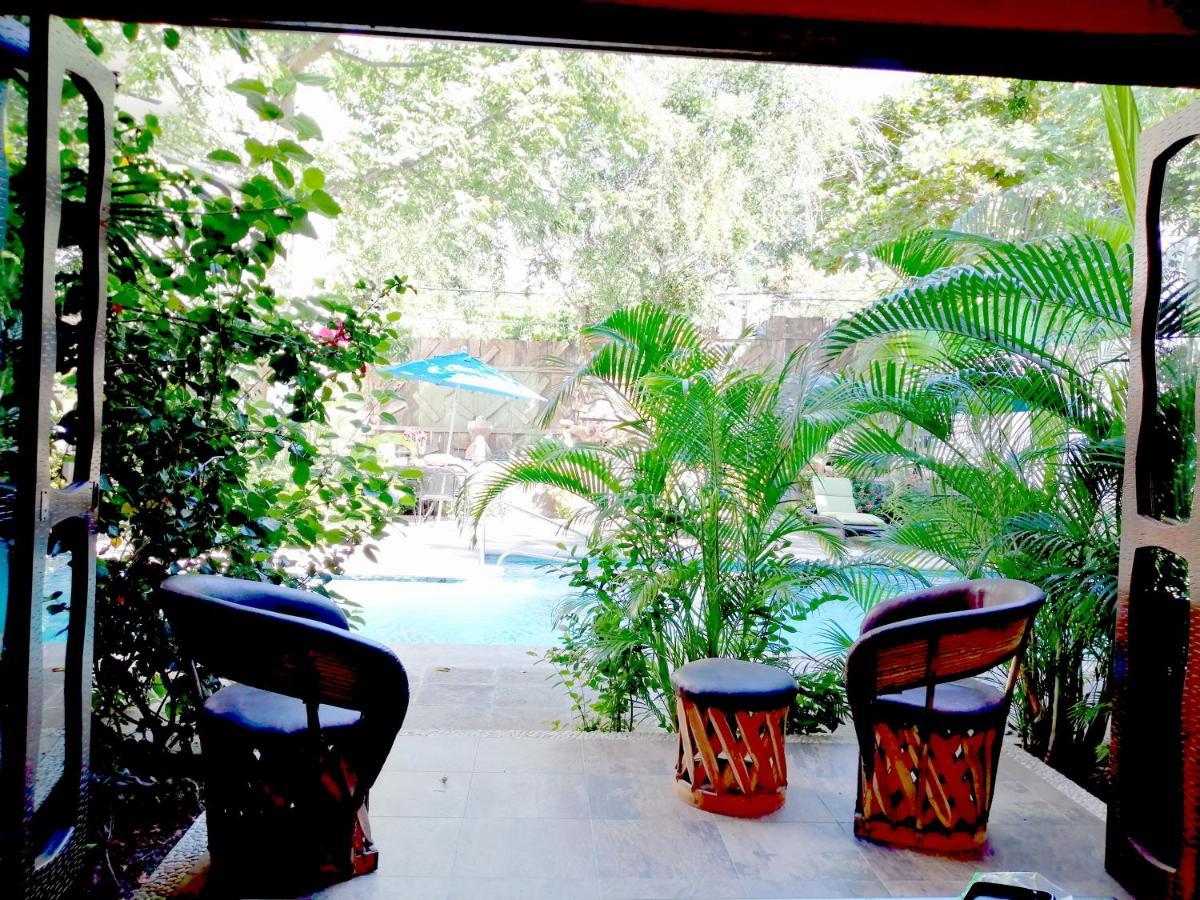 Ceiba Studios Zihuatanejo Kültér fotó