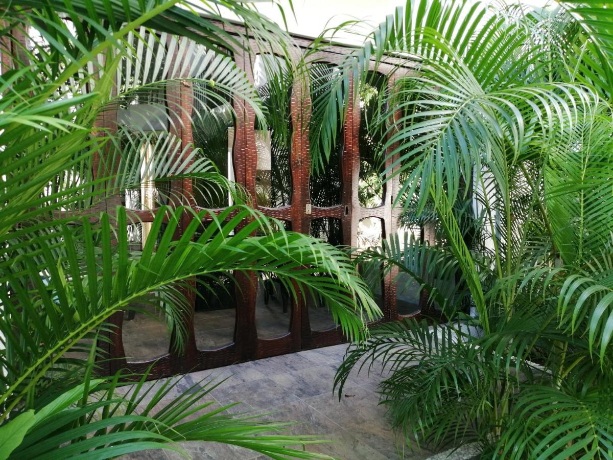Ceiba Studios Zihuatanejo Kültér fotó