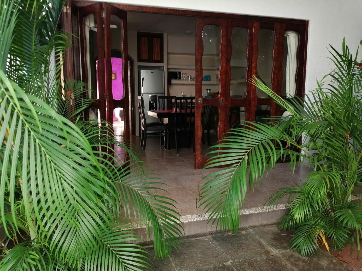 Ceiba Studios Zihuatanejo Kültér fotó