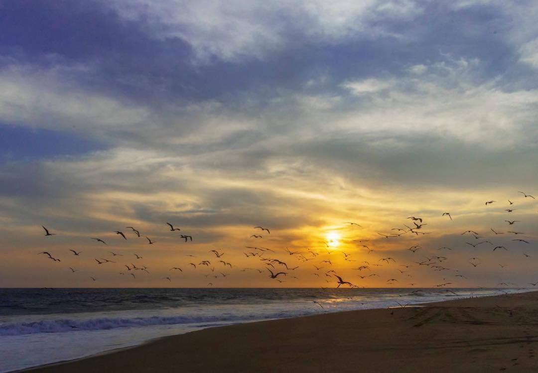 Ceiba Studios Zihuatanejo Kültér fotó