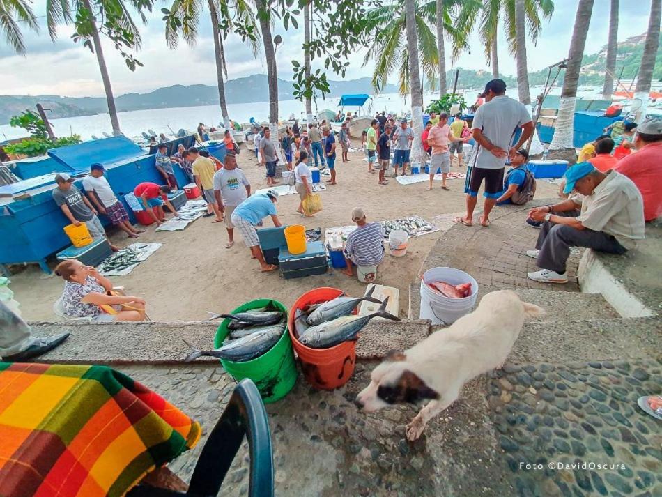 Ceiba Studios Zihuatanejo Kültér fotó