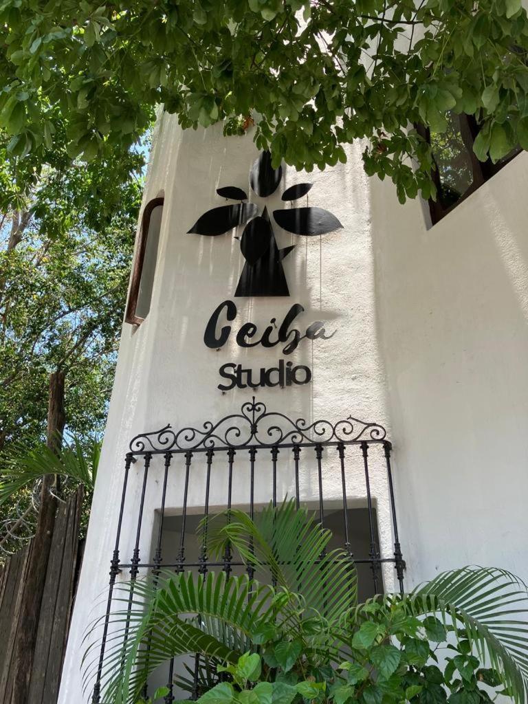 Ceiba Studios Zihuatanejo Kültér fotó